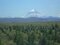 argentine02